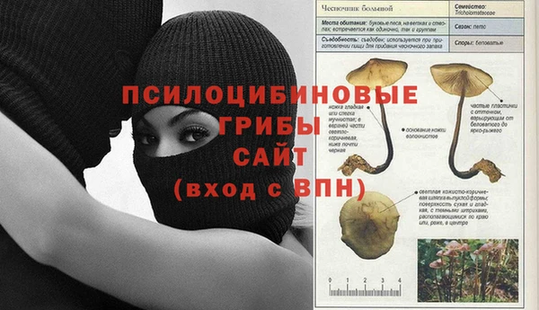 дживик Алексеевка