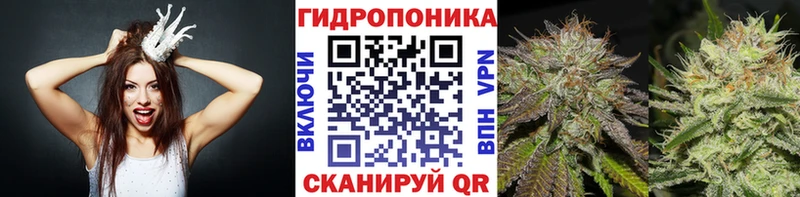 Марихуана THC 21%  купить   Брюховецкая 